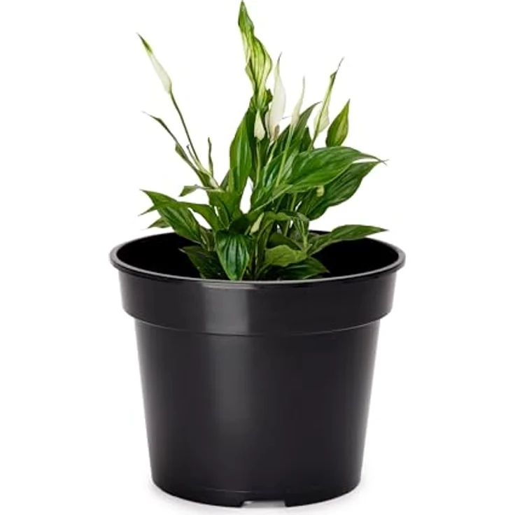Garronda Blumentopf Kunststoff rund Pflanztopf Kräutertopf Anzuchttopf für Garten GD-0025 (1 St) – Bild 2