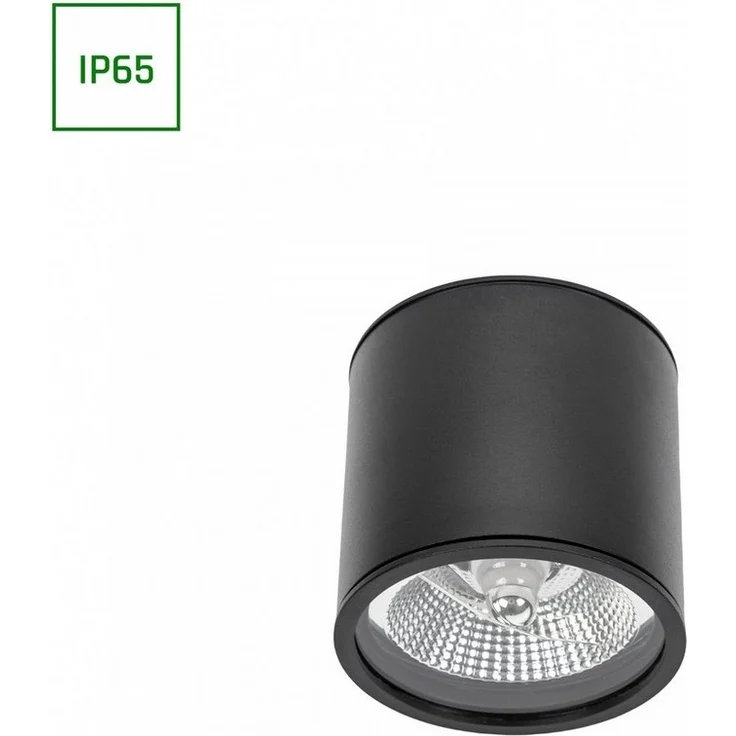 Deckenspots schwarz D-120mm AR111 GU10 IP65 rund – Bild 1