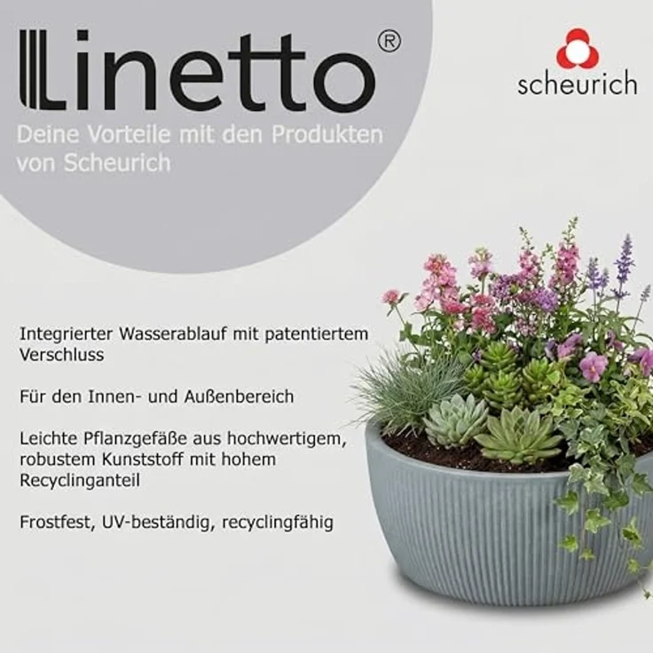 Scheurich Pflanzkübel 40/273 LINETTO BOWL, Pflanzschale aus Kunststoff, ØxH: 38,6x17,1 cm – Bild 6