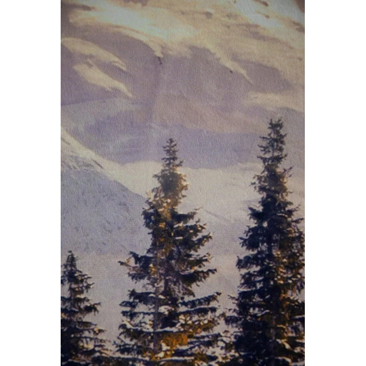 jilda-tex Bettwäsche Winter Dawn, Micromink, Kuschelbettwäsche mit Winterlandschaft – Bild 4