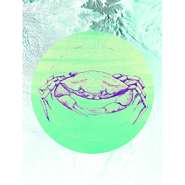 Komar Wandbild Crab Sea, Premium-Poster 30x40 cm, fotorealistischer Kunstdruck ohne Rahmen, für Wohnzimmer und Schlafzimmer, seidenmatte Oberfläche, lichtbeständig, MADE IN GERMANY