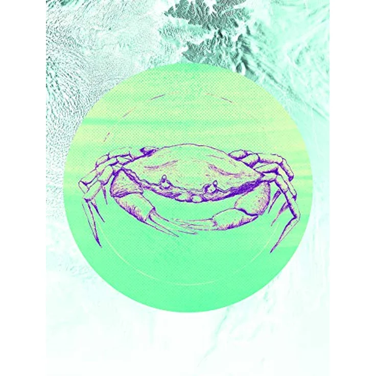 Komar Wandbild Crab Sea, Premium-Poster 30x40 cm, fotorealistischer Kunstdruck ohne Rahmen, für Wohnzimmer und Schlafzimmer, seidenmatte Oberfläche, lichtbeständig, MADE IN GERMANY – Bild 1