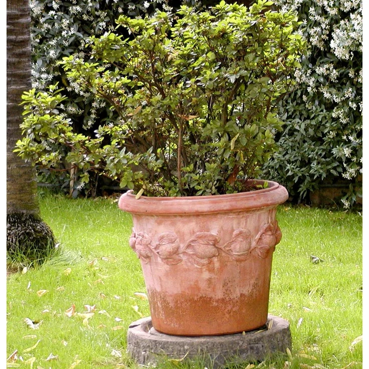 Pflanzgefäß Übertopf Blumenkübel Terrakotta Siena Conca Limoni 30cm Frostfest – Bild 5