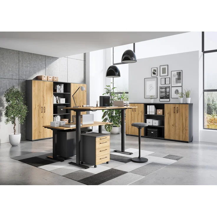 Germania GW-PROFI 3.0 Aktenschrank 4247, Graphit/Grandson-Eiche-Nb, 80 x 123 x 40 cm (BxHxT) – Bild 6