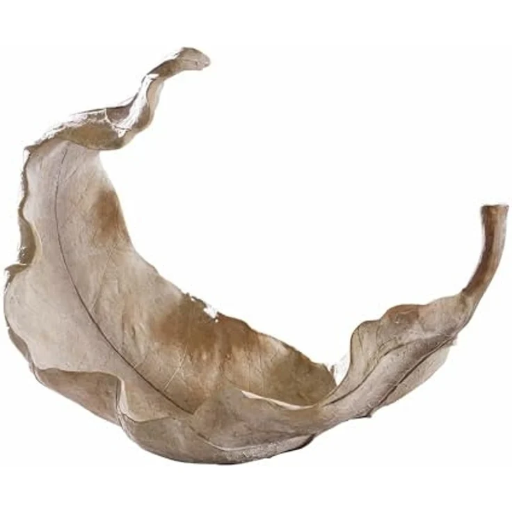 Mirabeau Dekoschale Schale Vibius beige – Bild 3