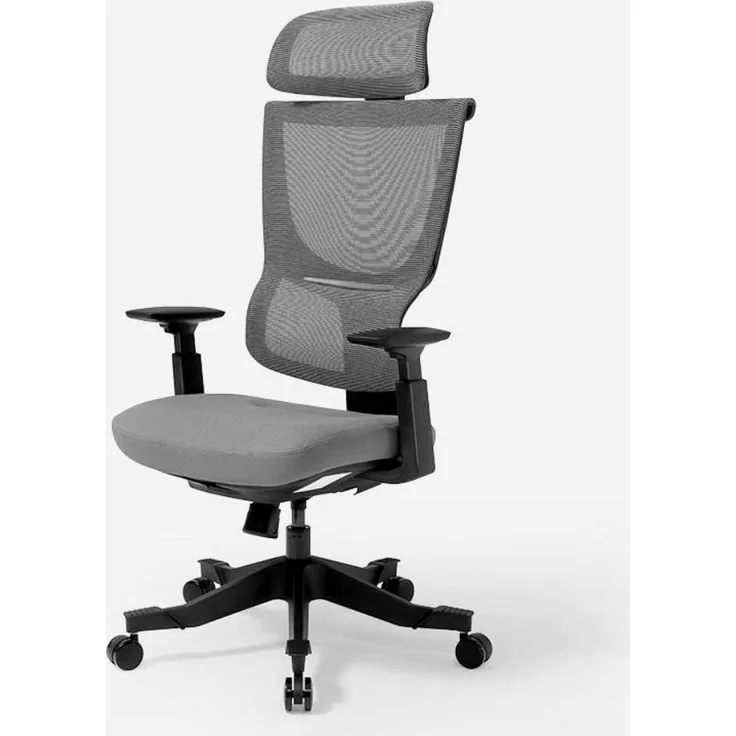 FLEXISPOT Bürostuhl Ergonomischer Stuhl, multi-verstellbar, Computerstuhl