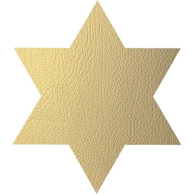 LIND DNA Platzset Lind DNA Tischset Star Stern Hippo Gold 990142 – Bild 1