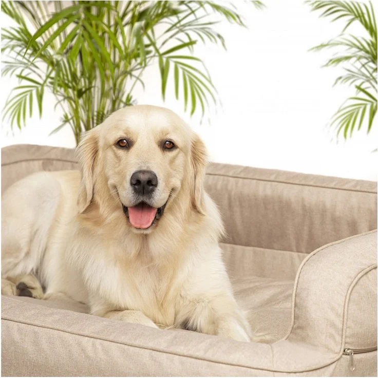 Hobbydog Tierbett Hundebett Schlafplatz Hundekissen Hundesofa Tierbett Hundematratze – Bild 4