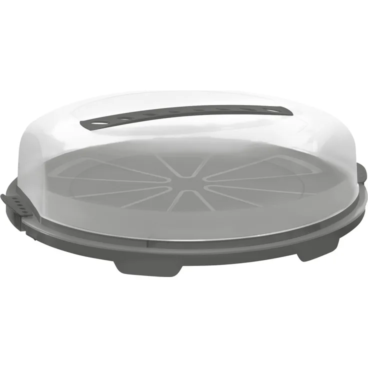 Rotho Tortenglocke flach Fresh Ø 35x12 cm holzkohle schwarz