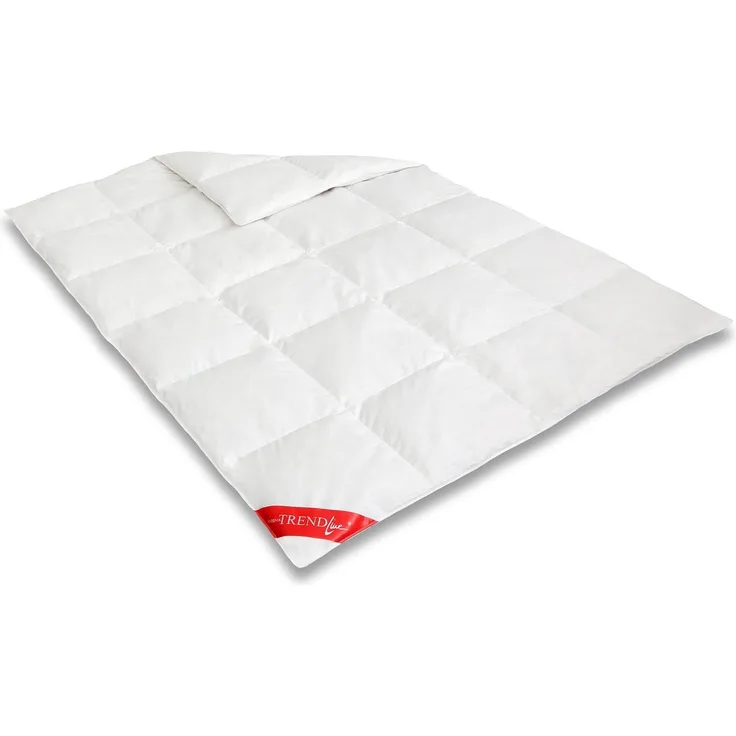 Badenia Irisette Trendline Daunendecke Princess warm 155x220 cm Winterdecke