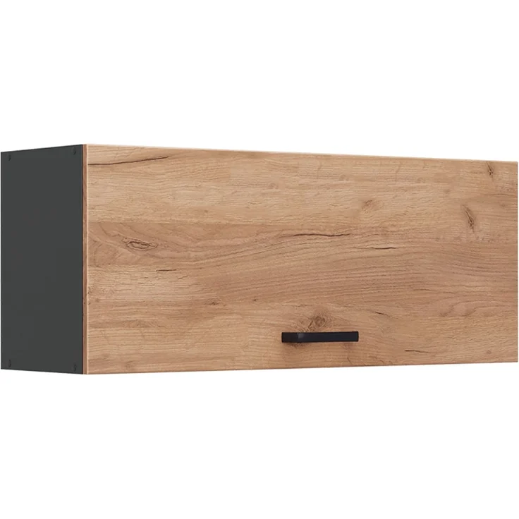 Hängeschrank R-Line Goldkraft Eiche/Anthrazit 100 cm Flach Vicco – Bild 1