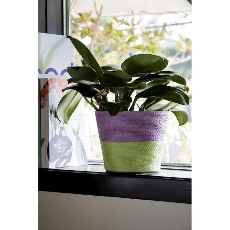 INNA-Glas Übertopf Blumenkorb NERIONKO Duo, lila-grün, 16 cm, Ø 19 cm – Bild 3
