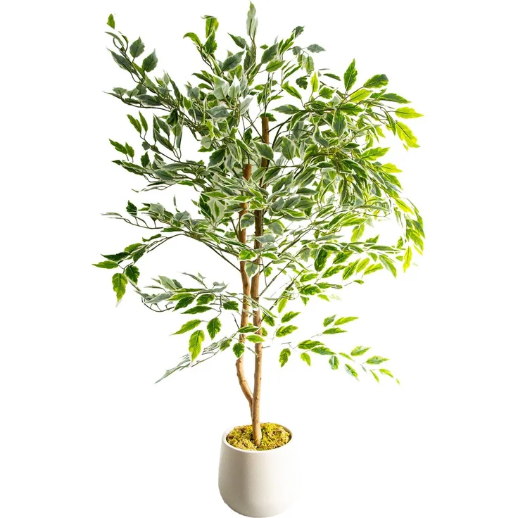 Künstlicher Benjamini Pflanze, ca. 120cm hoch