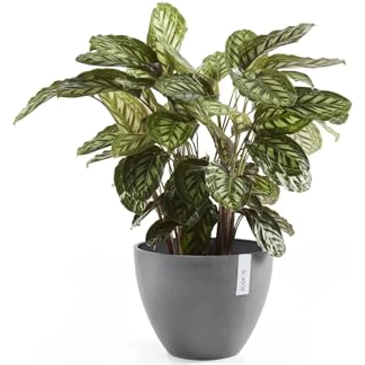 ECOPOTS Blumentopf ANTWERP Grey, BxTxH: 30x30x25,5 cm – Bild 5
