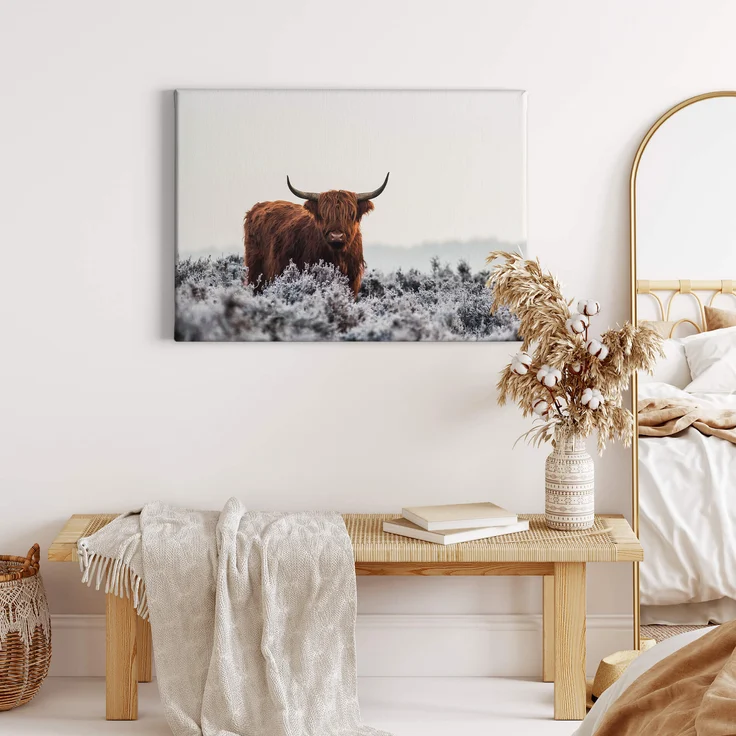 Leinwandbild Stier Braun Grau 70x50 DD123044 Keilrahmenbild Wandbild Leinwand – Bild 2