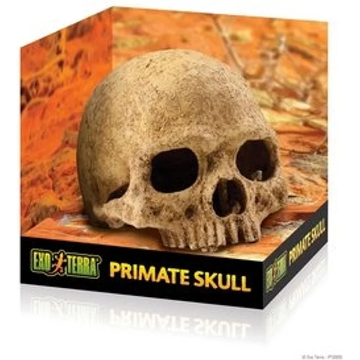 Exo Terra Terrariendeko Versteck Primate Skull – Bild 6