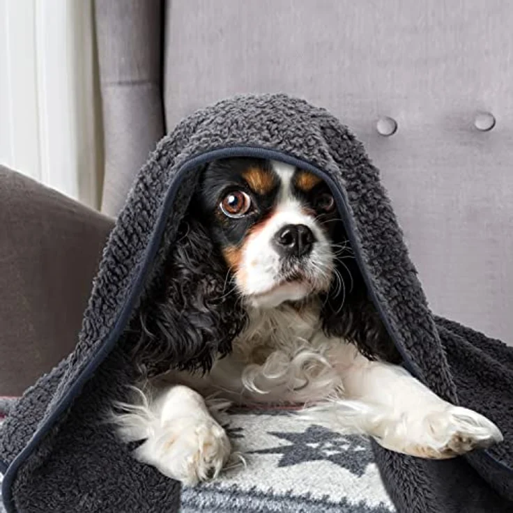 Nobleza Hundedecke Weiche Fleecedecke Waschbare Deck für Haustier Hunde Katzen Welpen Weiche Warme Matte, Grau 160 * 120cm – Bild 6