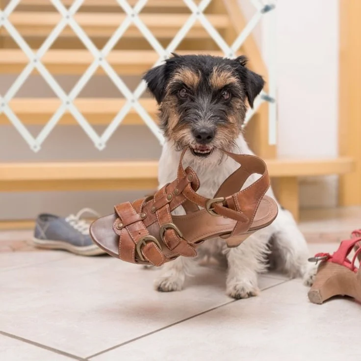 Relaxdays Ausziehbares Hundeabsperrgitter in Weiß – Bild 5
