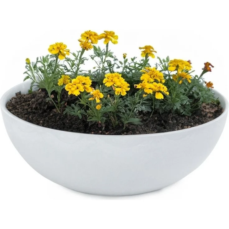 matches21 HOME & HOBBY Blumentopf Runde bauchige 20 cm Pflanzschale für draussen, hell-grau marmoriert (1 St), Wetterfeste Blumen-Schale als moderne Gartendeko Grabschmuck – Bild 4