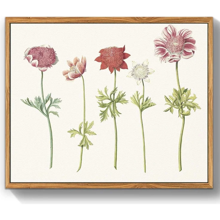 Vintage Botanische Leinwandbilder mit Holzrahmen 30x40 cm Wohnzimmer Badezimmer – Bild 1