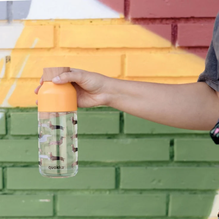 Quokka Ice Wasserflasche 570 ml Dachshund für kalte Getränke – Bild 2