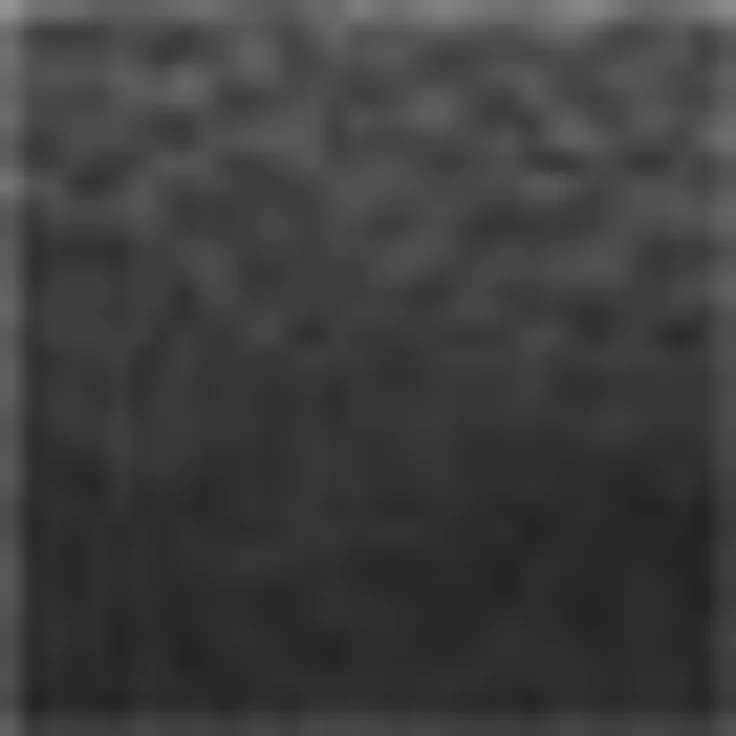 Kleine Wolke Handtücher Royal, 1 Stück (50/100 cm), Frottier (1-St), Uni Farben, mit Bordüre, weich, auch in verschiedenen Sets erhältlich – Bild 2