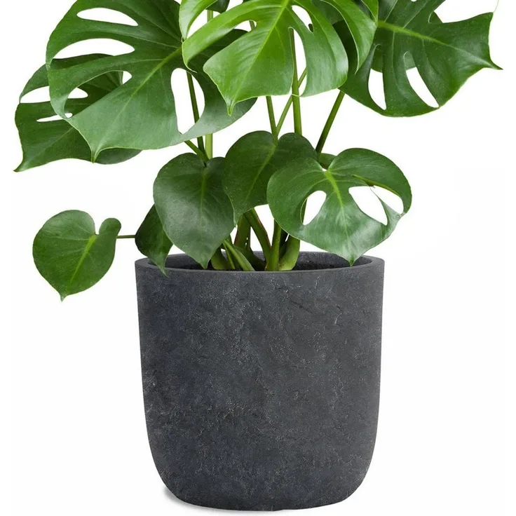 Pflanzwerk® Pflanzkübel CUP Premium Fiberglas Blumenkübel Frostbeständig mit Lotus-Effekt, Lotus-Effekt - Handgefertigt - Rund - Frostbeständig