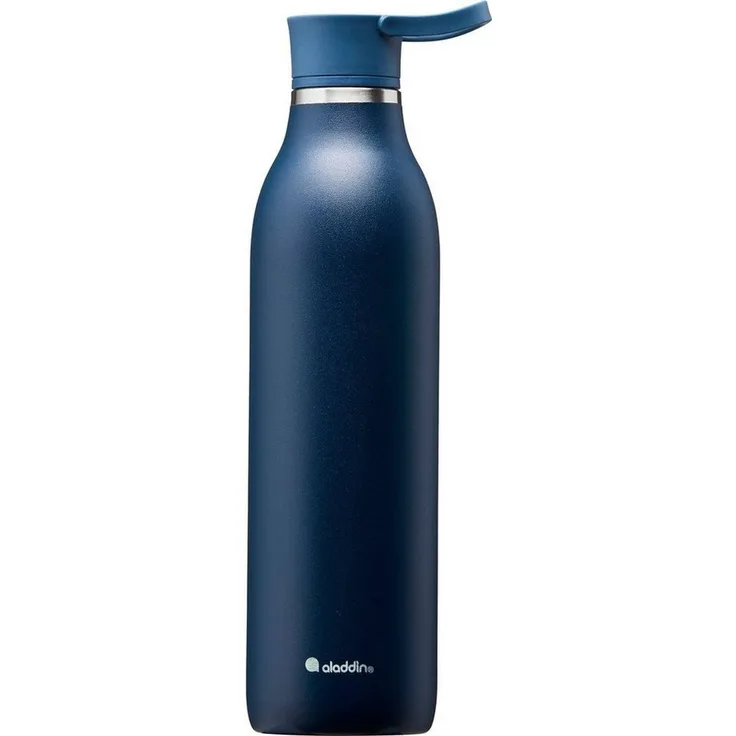 aladdin Trinkflasche City Loop, Edelstahl, 600 ml