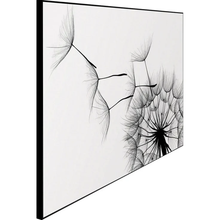 Reinders! Wandbild Slim Frame Black 50x70 Dandelion – Bild 3