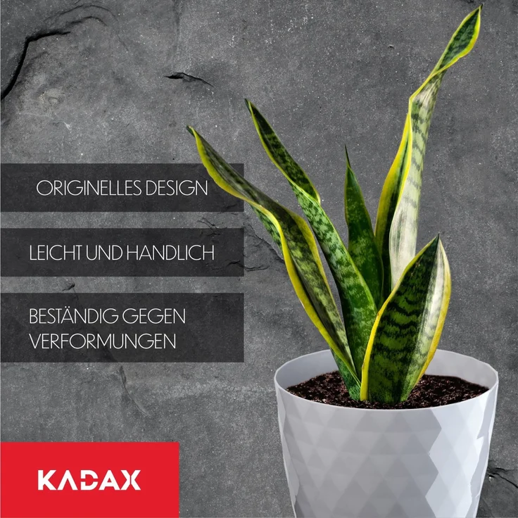 KADAX Kunststoff-Blumentopf mit Ständer, Blumentopf-Abdeckung für Blumen, 14 cm, Grau – Bild 6
