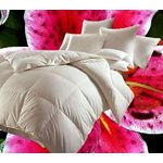 Betten Hofmann Canada Kassetten Daunenbett 4x6 155x220 1200 g Daunendecke 100% neue Daunen