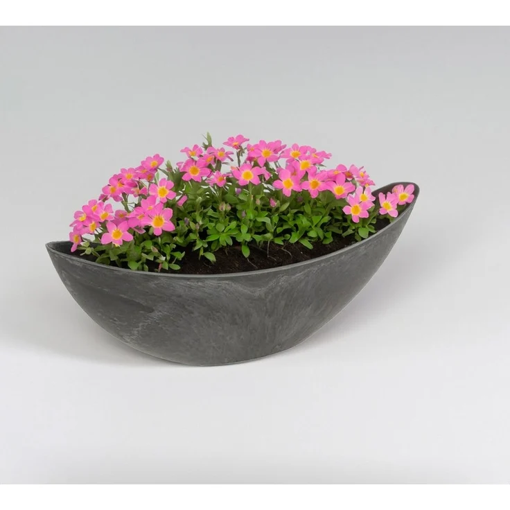 matches21 HOME & HOBBY Ovale Pflanzschalen für draußen - 2 große 39 cm Stein-Optik Pflanztöpfe als Garten Blumen-Töpfe – Bild 3