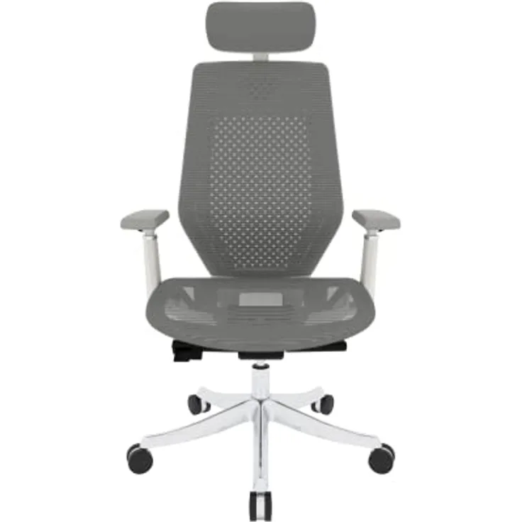 FLEXISPOT BS11 Pro Bürostuhl Computerstuhl mit Armlehne bequemer Schreibtischstuhl Chefsessel Chefsessel Stuhl