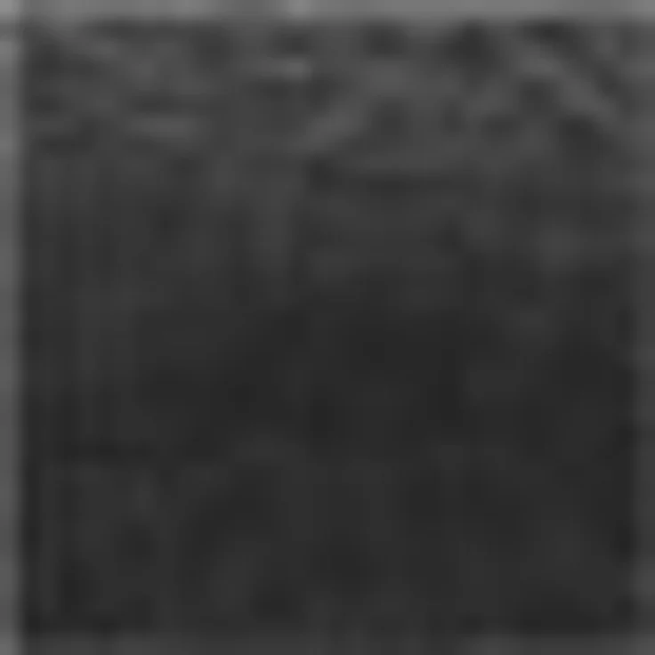 Kleine Wolke Duschtuch Royal, 1 Stück (70/140 cm), Frottier (1-St), Uni Farben, mit Bordüre, weich, auch in verschiedenen Sets erhältlich – Bild 2