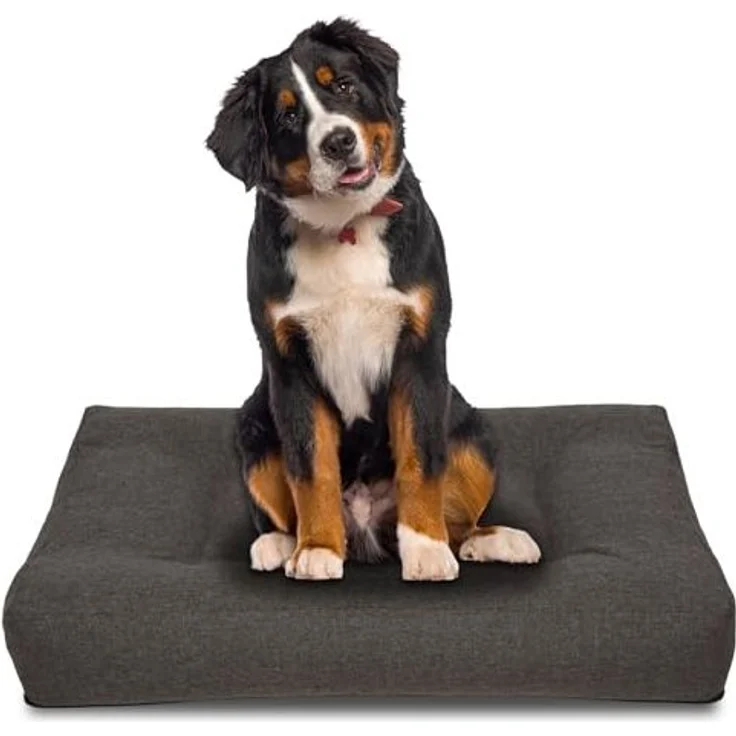 100 x 80 x 19 cm Petzzz ergonomisches Hundekissen Milo Größe L – Bild 3