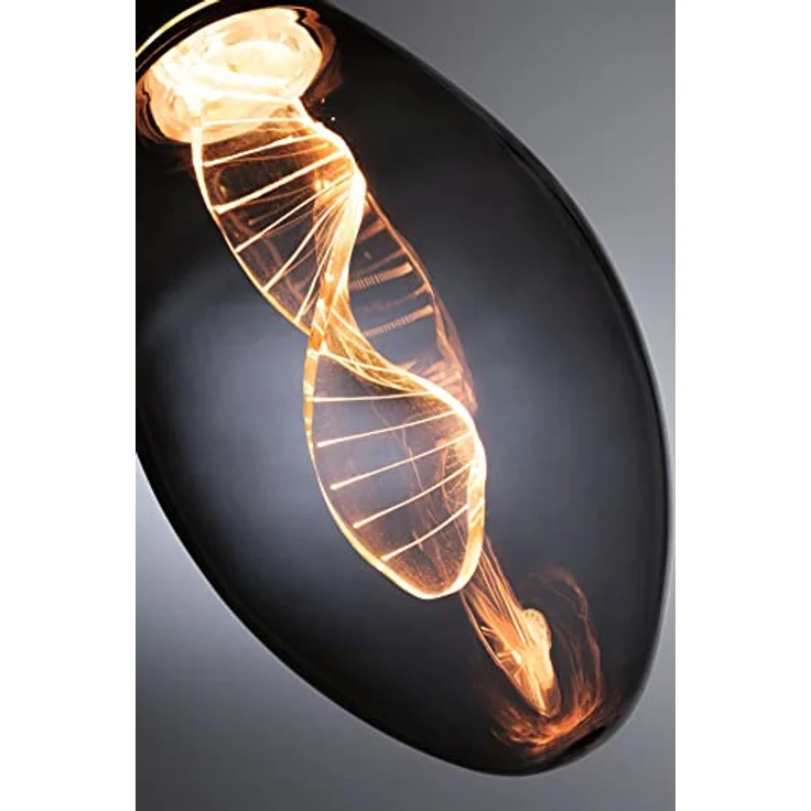 Paulmann LED-Lampe E27 3,5 W Helix, dekorative Leuchte mit 1.800 K warmem Licht und rauchgrauem Glas – Bild 3