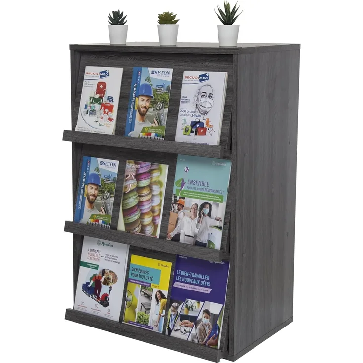 Iris Ohyama, Aufbewahrungseinheit mit 3 Falttüren/Holzschrank/Klappenregal/Aufbewahrungsschrank, Verstellbare Regalhöhe 3,2 cm, Büro, Wohnzimmer - Flap Rack - CHR-3 - Graue Eiche