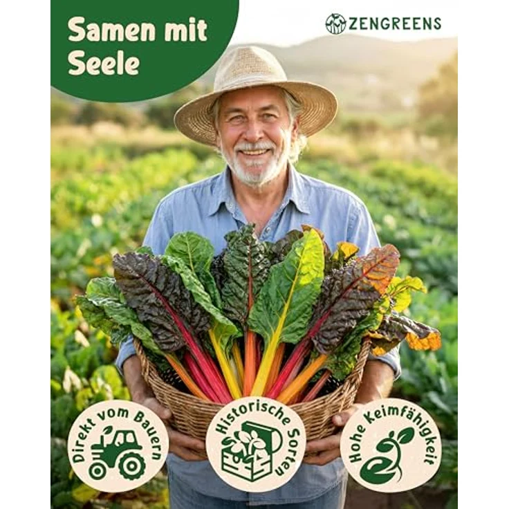 ZenGreens® - Bio Mangoldsamen im 6er Set - 6 Mangold Samen für den einfachen Anbau im Garten, Balkon oder Hochbeet - Pflanzensamen - Saatgut – Bild 3