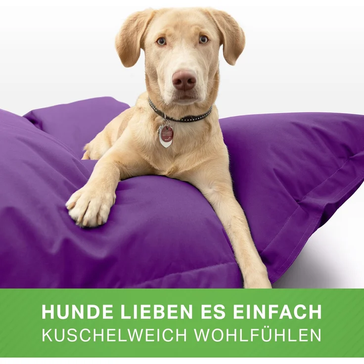Green Bean® Hundebett für mittlere & große Hunde 120x160cm Hundekissen - Lila – Bild 5