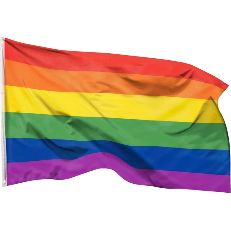 Aricona Regenbogen Flagge 90x150 cm - wetterbeständige Pride Fahne mit Messingösen, 100% Polyester, robuste Doppelnaht & in lebendigen Farben - ideal für Flaggen-Liebhaber