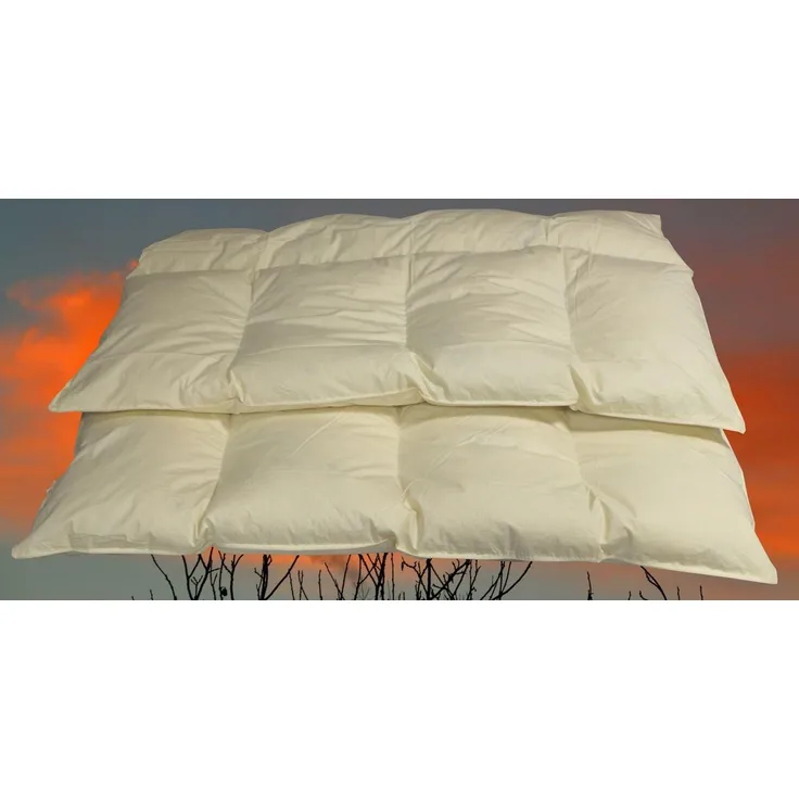 Betten Hofmann 4-Kammer Daunenbett Steppdecke Daunendecke 155x220 cm 1600 g 60% Daunenanteil