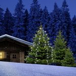 Baumvorhang,15Str.j. 32LED 480LED,Str. 3,2m,IP44,m.T.