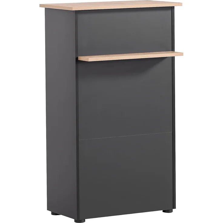 Schildmeyer Empfangstresen, Holzwerkstoff, Artisan Eiche Dekor/schwarz, 65,8 x 44 x 110,5 cm