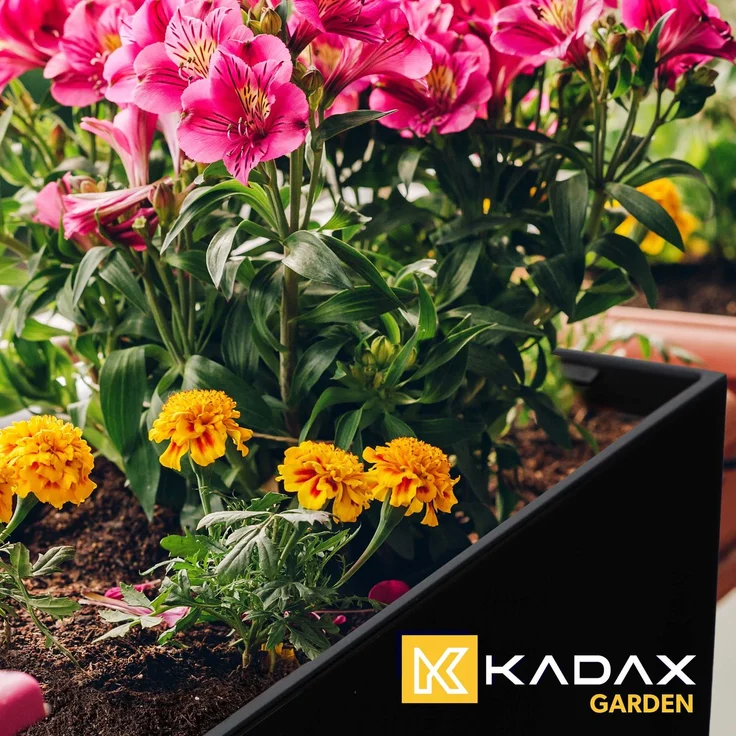 KADAX Blumentopf Blumentopf Balkonkasten mit Einsatz Blumenständer Schwarz Glanz 19x56cm – Bild 9