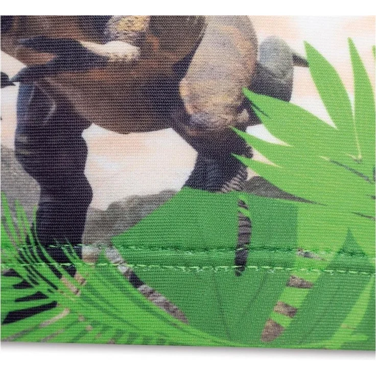 Roth Badekappe Tyrannosaurus, 21x19 cm, schnell trocknend, für Schwimmunterricht, Dinosaurier – Bild 3