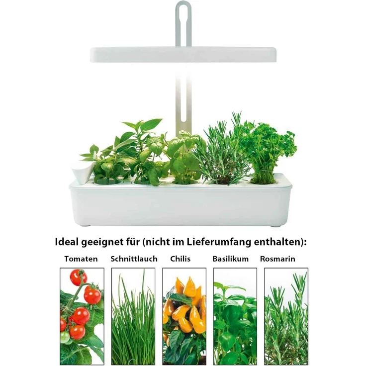 Northpoint Pflanzenlampe LED Pflanzenleuchte Gewächslampe 22W 1350 Lumen 10 Setzlinge – Bild 7