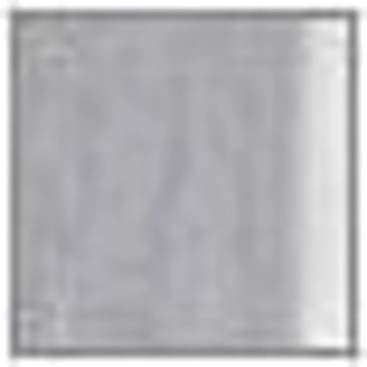 Stickereien Plauen Türvorhang Türstores Landschaft (1 St), Durchzuglöcher, transparent, Voile, HxB: 160x60, veredelt mit echter Plauener Spitze Stickerei – Bild 3