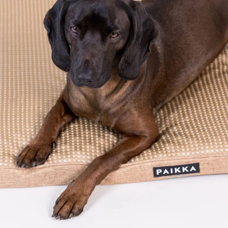 PAIKKA Orthopädische Kühlmatratze taupe, Maße: 60 x 45 cm – Bild 3