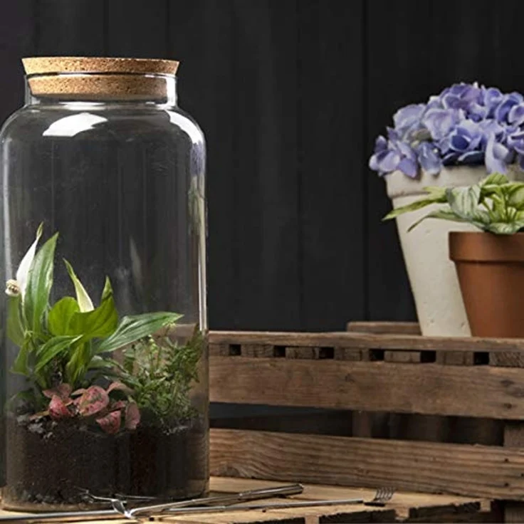 Pflanzen Terrarium aus Glas 10 L Deko Gewächshaus – Bild 3