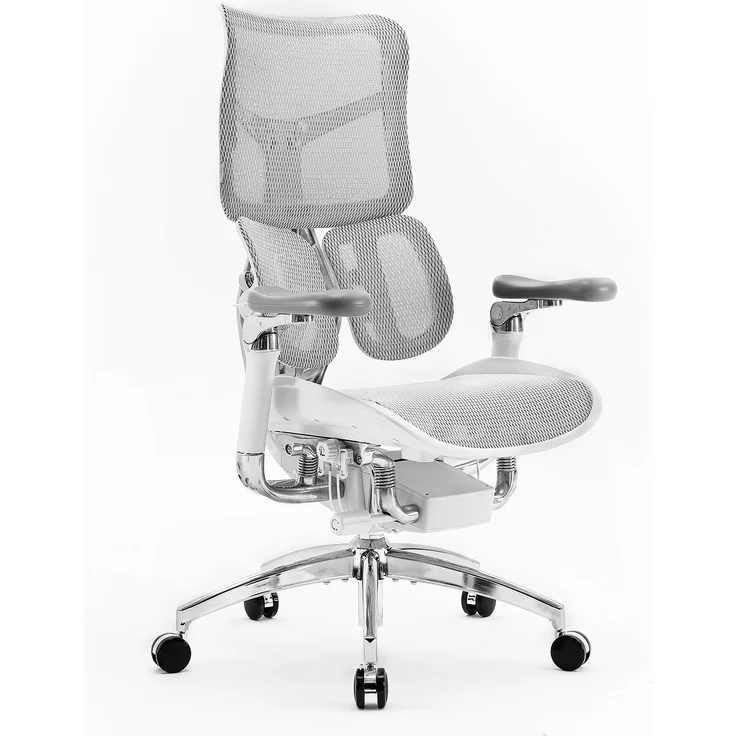 Sihoo 'Doro S300' ergonomischer Schreibtischstuhl, 124,5 x 76 cm, in Grau – Bild 3